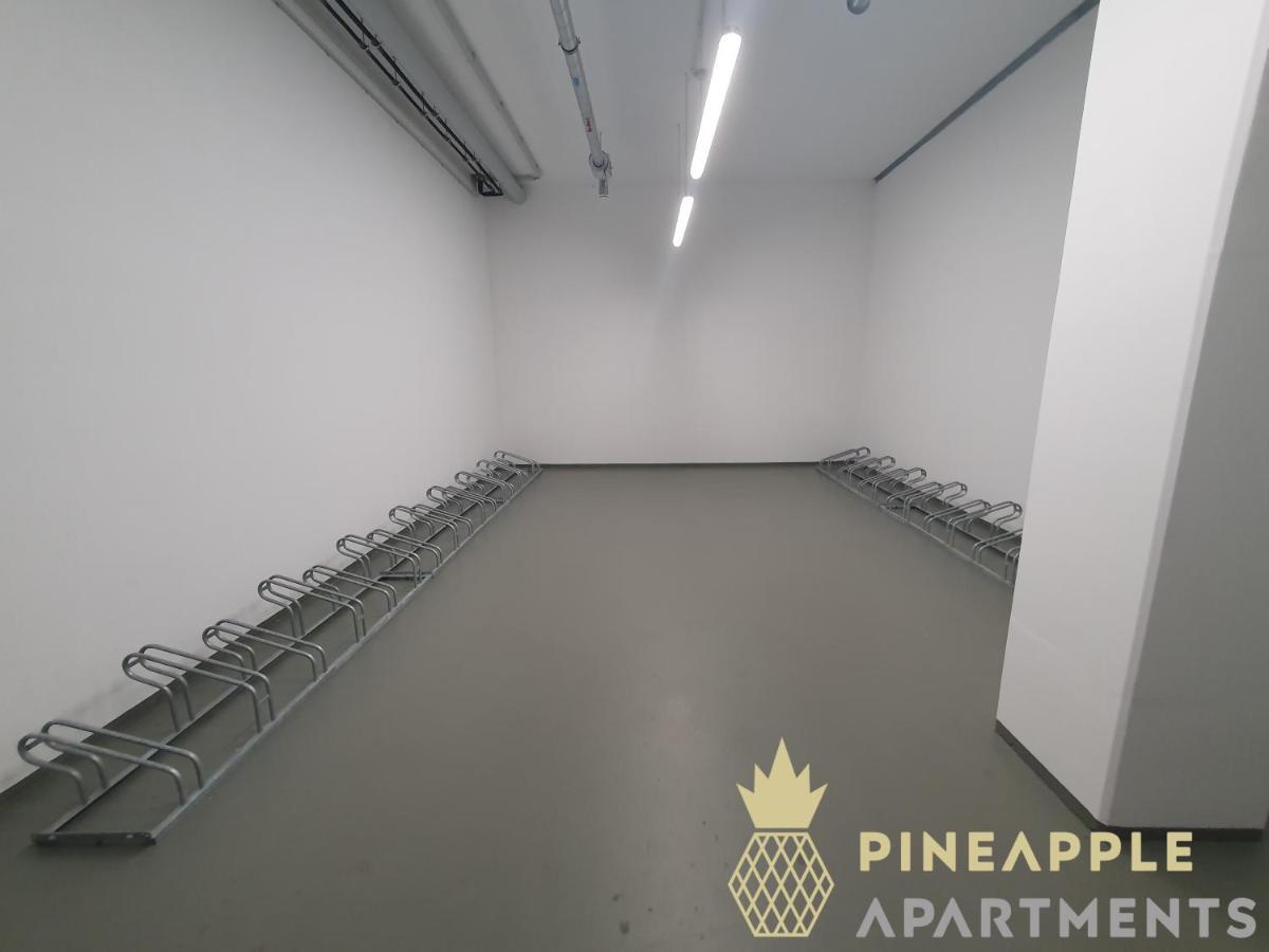 Pineapple Apartments Dresden Altstadt V - 112 Qm - 1X Free Parking Εξωτερικό φωτογραφία
